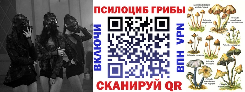 Псилоцибиновые грибы GOLDEN TEACHER  Шебекино 